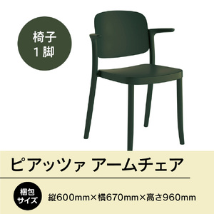 椅子 アダル ピアッツァ アームチェア グリーン P3002-1WE 椅子