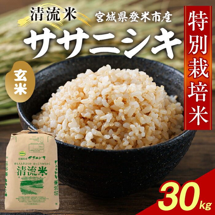 【ふるさと納税】＜令和7年度産＞特別栽培米 ササニシキ 玄米 30kg 宮城県登米市産 お米 おこめ 米 コメ ご飯 ごはん おにぎり お弁当【ライス宮城株式会社】tm632