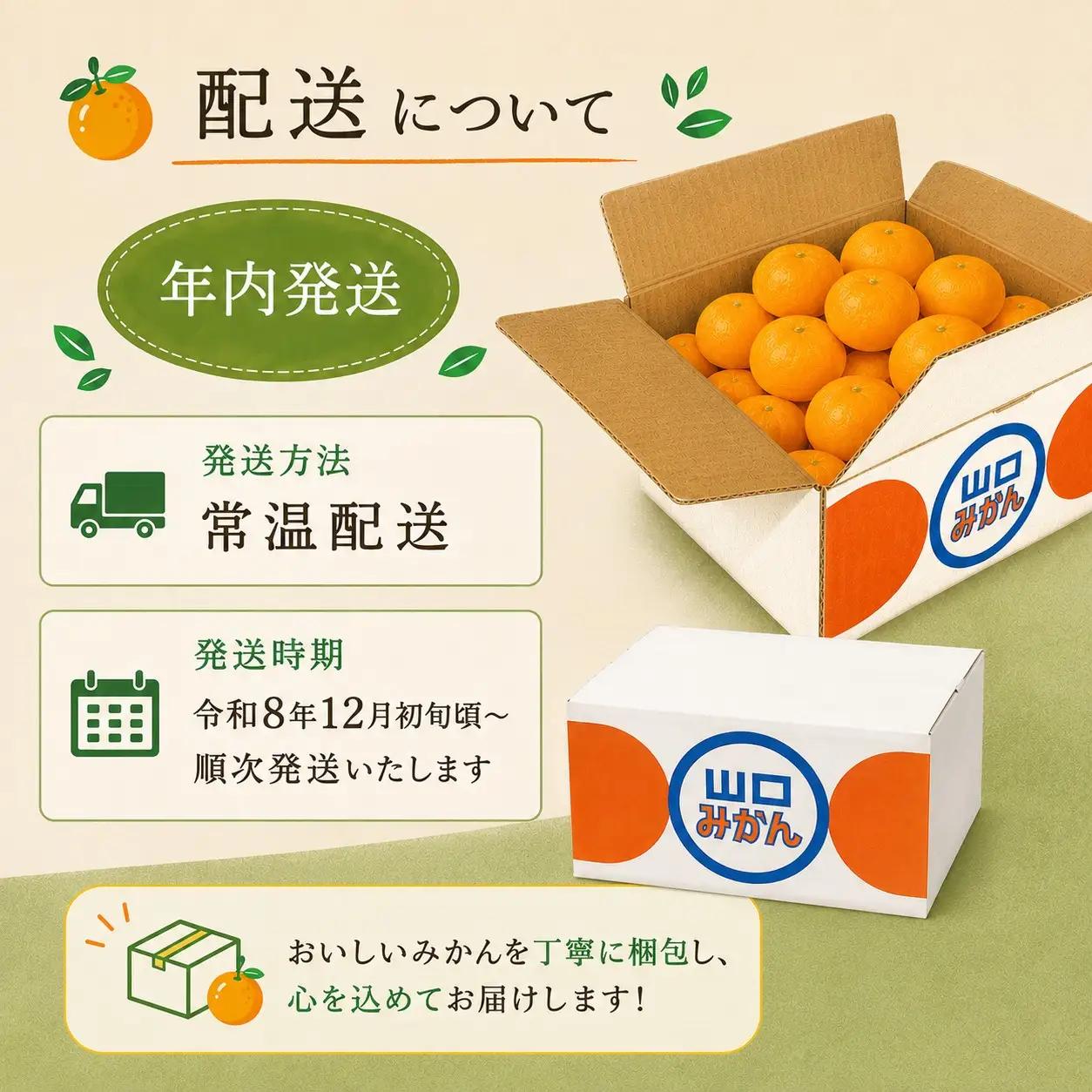  先行予約 年内発送 ふくちゃんちのみかん サイズミックス 約10kg  令和8年12月初旬～順次発送
