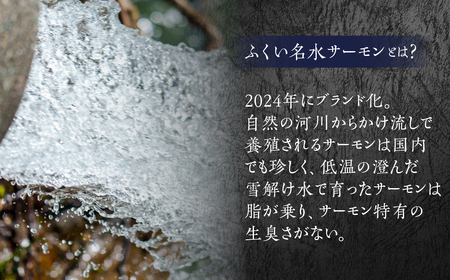 ふくい名水サーモン 切身 2パック 甘塩仕立て サーモン 鮭