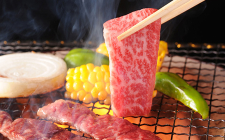 飛騨牛 もも300g・ロース300g 焼肉用 計600g 飛騨牛 A5等級 和牛 黒毛和牛 F4N-2669
