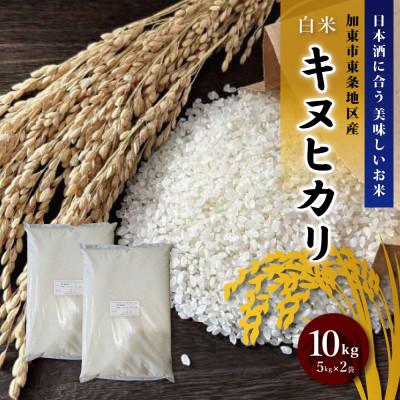 ふるさと納税 加東市 訳あり 無地袋梱包 《令和7年産》日本酒に合うキヌヒカリ　白米10kg(5kg×2)