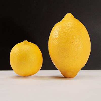 ふるさと納税 上島町 青いレモンの島　貯蔵蔵出しジャンボレモン2kg(冷蔵) |  | 01