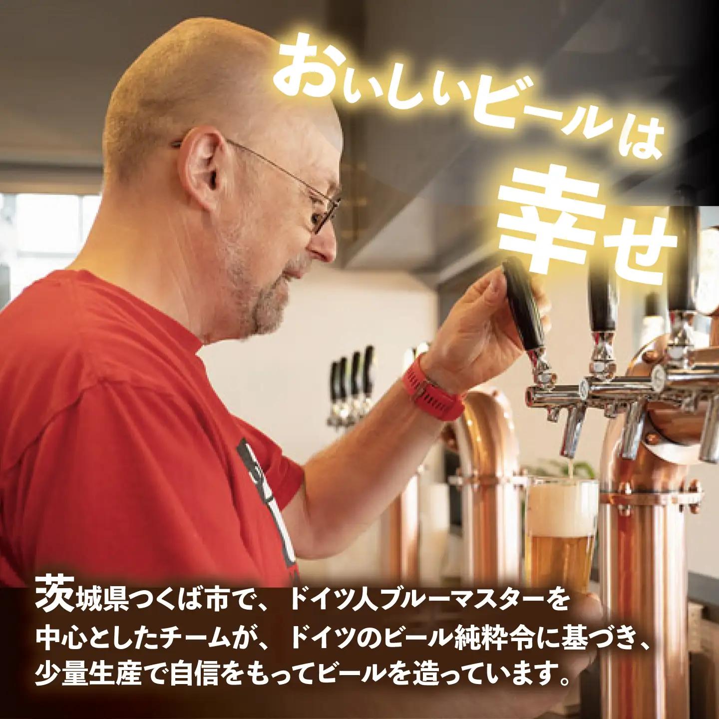 【6ヵ月定期便】クラフトビール おまかせ6本 ビール