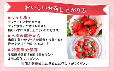 【先行予約】＜いちご3か月定期便＞栃木県産とちおとめ320g×2パック 3Lサイズ 3回｜栃木県 宇都宮市 いちご 苺 とちおとめ イチゴ フルーツ 果物 新鮮 平積み 甘い 糖度 旬 産地直送 20