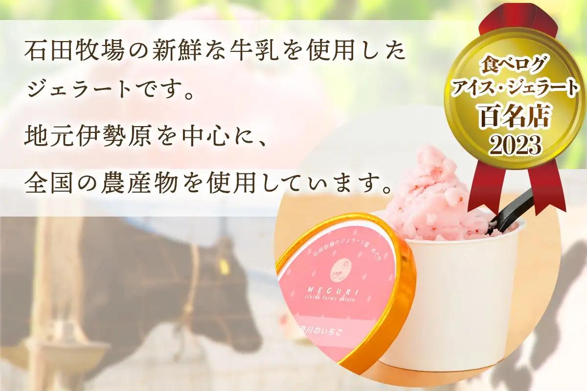 [ギフト] 石田牧場のジェラート屋めぐり おまかせ ジェラート6個セット [1219]