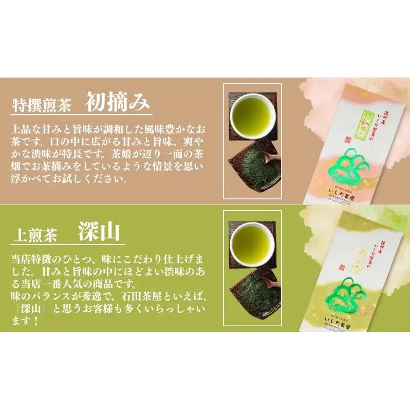 お茶 いしだ茶屋 極上 深蒸し茶 詰め合わせ セット ギフト