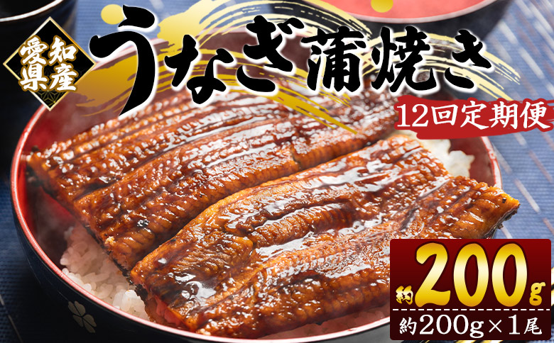 【１２回定期便】国産養殖うなぎ蒲焼き 約200g×1尾(愛知県産鰻) Wfb-0072
