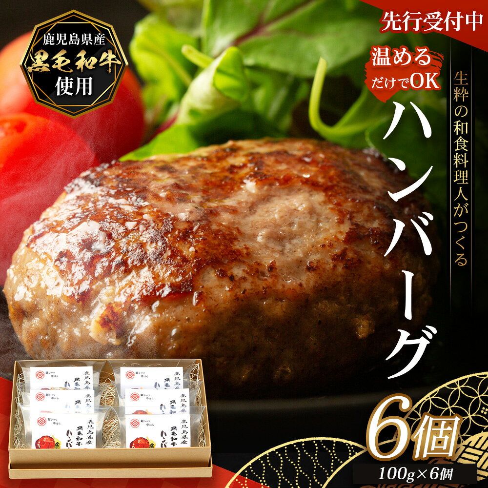 【ふるさと納税】【先行予約：12月下旬配送～】鹿児島県産 黒毛和牛 ≪レトルト≫ 和食料理人の手作り ハンバーグ（100g×6個）GN-5｜鹿児島県 南大隅町 ハンバーグ 牛肉 手作り レトルト 銀シャリ中はら