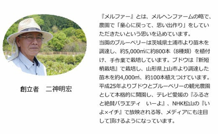 【先行予約】【期間限定】旬にお届け 完熟生ブルーベリー700ｇ 完熟手作りブルーベリージャム4瓶セット メルファーふたがみ【寄附受付：8月10日まで】
