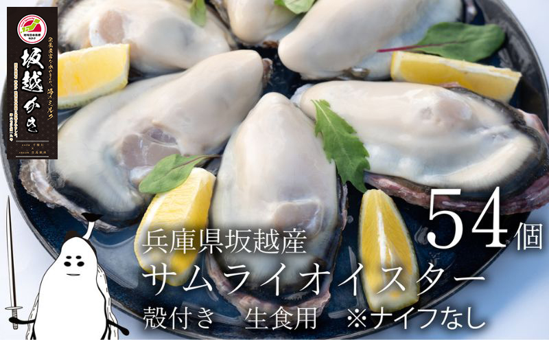 サムライオイスター 牡蠣 殻付き 54個 セット 詰め合わせ ナイフなし 生食用 坂越 かき 生ガキ 生牡蠣 カキ 生食 坂越の牡蠣 オイスター 魚介 魚介類 貝 貝類 海鮮 兵庫 兵庫県 赤穂市