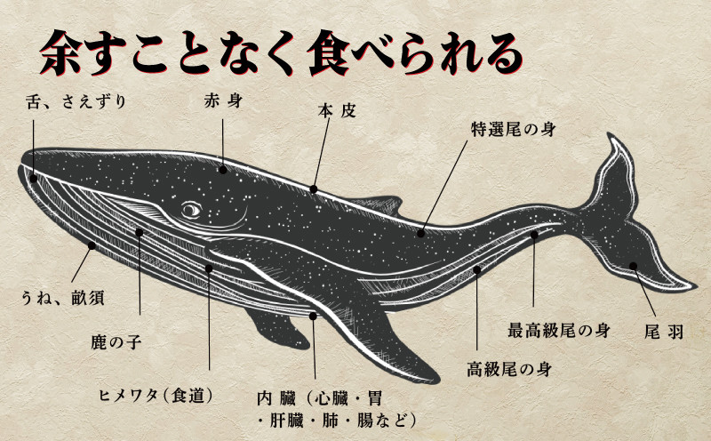 鯨 ( くじら ) 赤身 ブロック 500g 冷凍 高級 おつまみ 刺身 刺し身 ユッケ カツ 竜田揚げ 揚げ物 本場 いさな 鯨 赤身肉 ブロック肉 自宅 自宅用 お中元 お歳暮 小分け 美容 ダイ