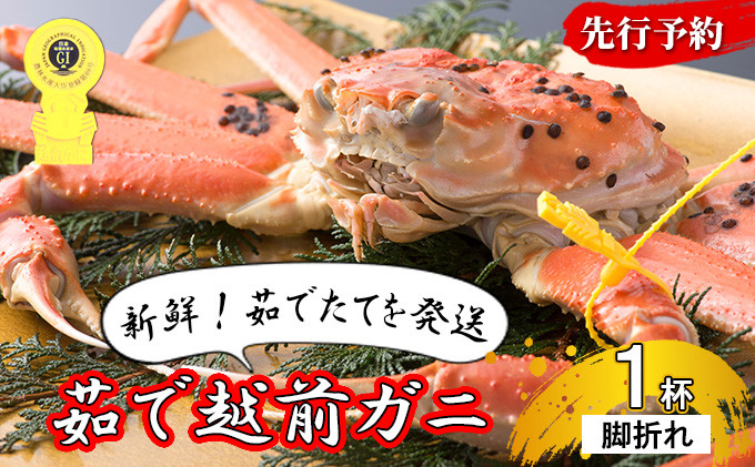
            訳あり 期間限定 茹で 越前ガニ 約600g～700g未満 1杯  脚折れ 茹でガニ 越前カニ 越前蟹 ズワイガニ ずわい蟹 かに 蟹 ボイルカニ ボイル蟹 魚介 魚介類 海鮮 限定 訳アリ 福井 福井県 若狭町 [№5580-0032]
          