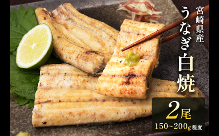 ◇［玄人の一品］うなぎ白焼き 2尾 合計300g以上 宮崎県産鰻 化粧箱入り 蒲焼タレ付【C427】