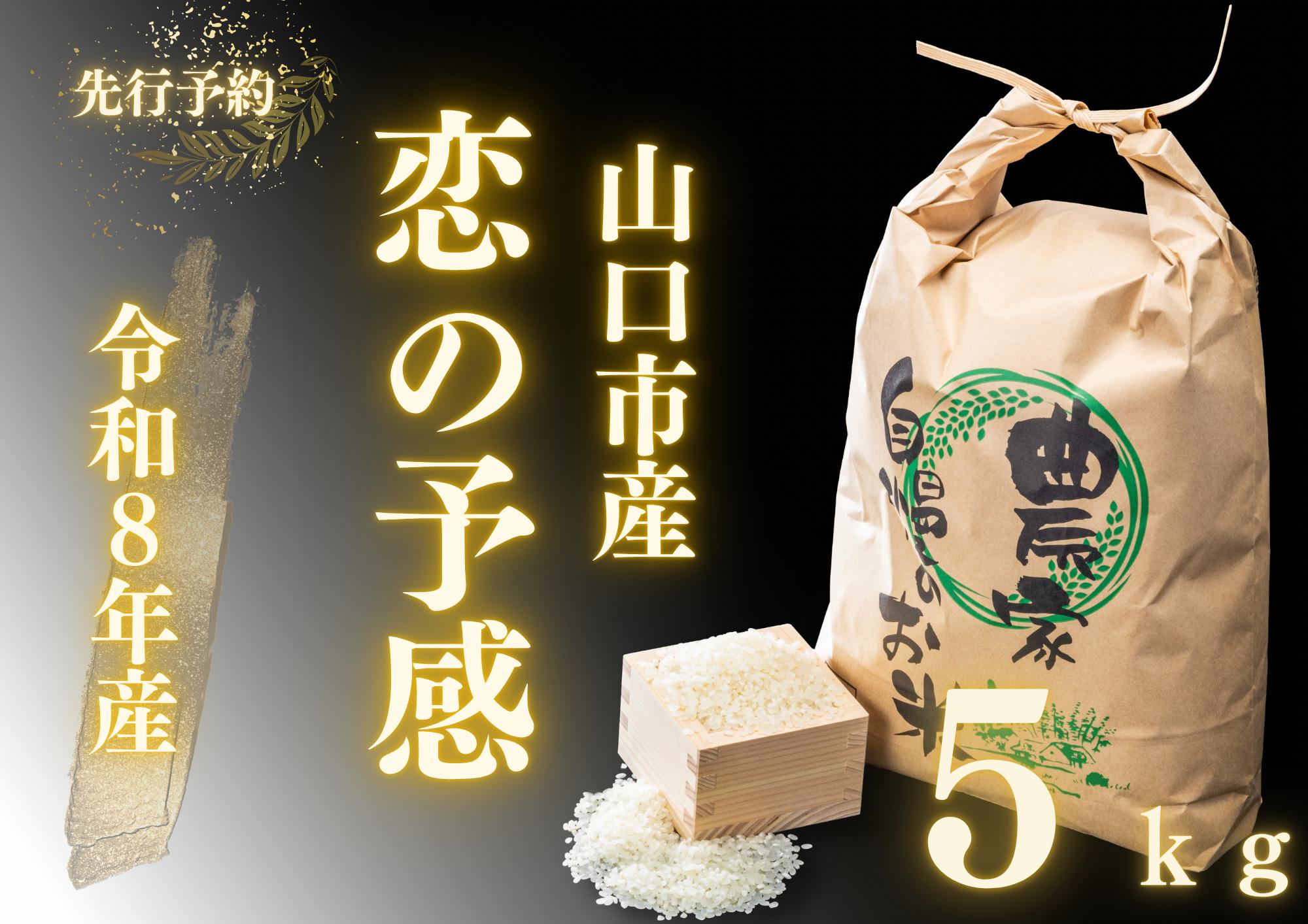 
                  D566 農家直送！山口市産新米「恋の予感」精米5kg
                
