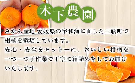 ＜木下さんちのみかん 良品 約10kg（S～Lサイズ混合）＞柑橘類 温州みかん ミカン 果物 くだもの フルーツ 特産品 木下農園 西宇和 愛媛県 西予市【常温】『2026年11月中旬〜12月下旬に順