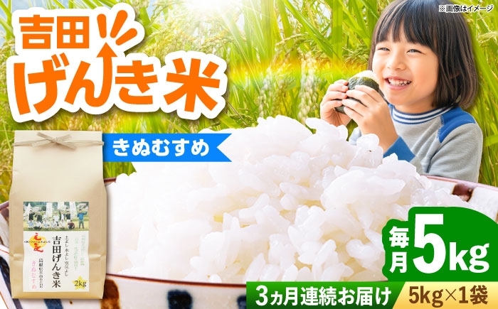 
            お米【全3回定期便】【新米】吉田げんき米きぬむすめ 5kg｜米 こめ おこめ はくまい 白米 ライス げんき米 精米 コメ 5キロ 使いやすい ごはん ご飯 おにぎり お弁当 朝ごはん 便利 朝食 食卓 主食 グルメ おいしい つや あっさり もっちり 国産 新生活 一人暮らし 家族 ご当地 ごはんソムリエ おうちごはん おすすめ 人気 定期便 島根県雲南市/有限会社藤本米穀店 [AIDB132]
          