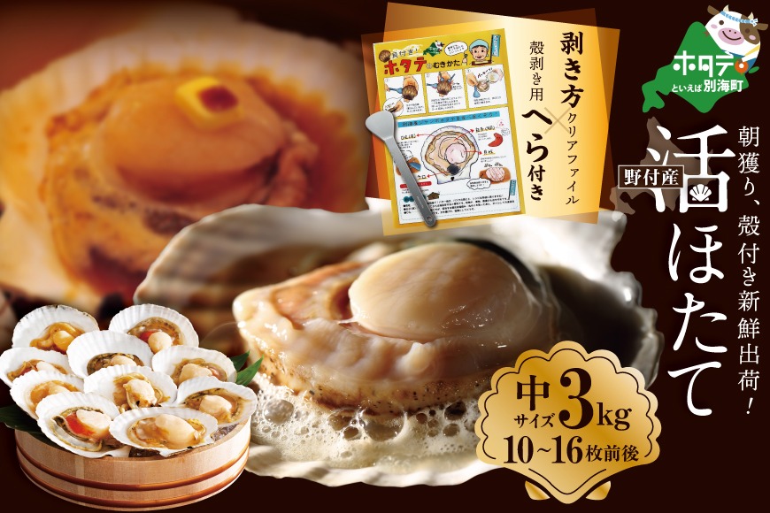 朝どり 新鮮出荷 活ホタテ 中サイズ 3kg活ほたて【UY0000011】