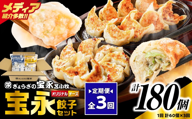 
            【全3回定期便（毎月）】チーズ餃子セット（宝永餃子 15個入×2袋＆チーズ餃子 15個入×2袋）合計1.5kg　T004-T02-02
          