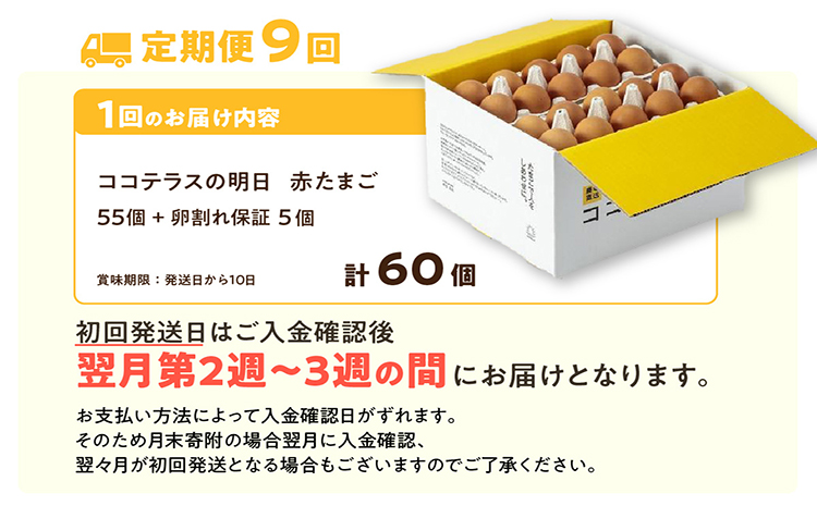 【9ヵ月定期便】ココテラスの明日（赤たまご）55個 + 5個保証（計60個）【JGAP認証】