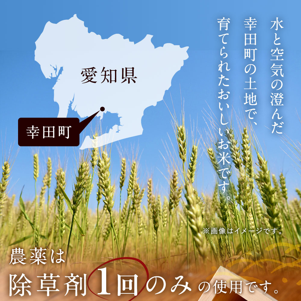 幸田町産「栄養週期栽培米」あいちのかおり 10kg 白米 精米 お米 米 ご飯_イメージ2