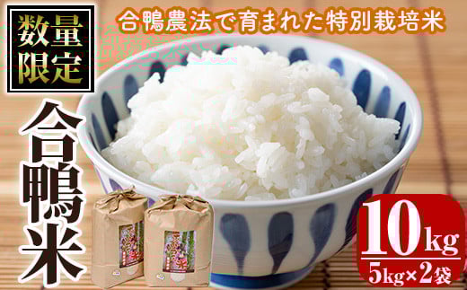 ＜令和7年産 ＞＜数量限定＞ 合鴨 米 (5kg×2袋) 白米 精米 国産 ご飯 アイガモ 合鴨農法 10kg お米 ごはん【MU027】【日之影町村おこし総合産業(株)】