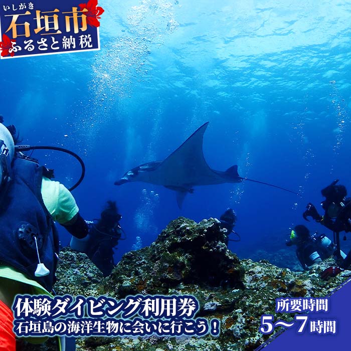 【ふるさと納税】石垣島 マンタやウミガメに会える 1日体験ダイビング利用券 寄付額 78,000円 10歳～ 所要時間5～7時間 | ふるさと納税 利用券 ダイビング ふるさと 旅行 観光 体験 チケット クーポン 沖縄県 沖縄 石垣 石垣島 石垣市 人気 送料無料 YD-2-1