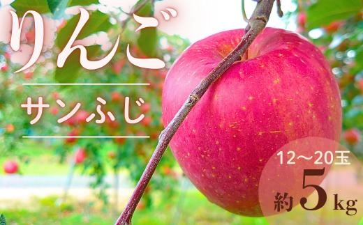 【家庭用】りんご サンふじ 約5kg【2026年1下旬～4月下旬発送予定】スマートフレッシュ｜ 林檎｜リンゴ｜12～20玉｜フルーツ｜果物｜長野県｜南信州｜豊丘村