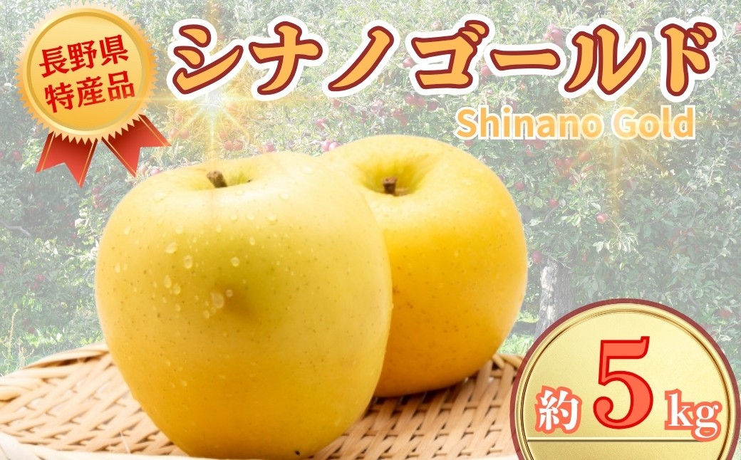 
            【2025年先行予約】りんご シナノゴールド 約5kg りんご三兄弟 三男｜ 果物 フルーツ リンゴ 林檎 シナノゴールド 千曲市 長野県 信州
          