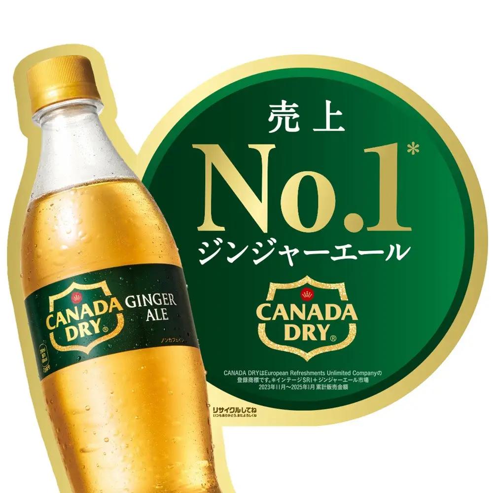 カナダドライ ジンジャーエール 500mlPET×24本×2箱　【11100-0570】リフレッシュ 炭酸飲料 ケース 箱買い まとめ買い 備蓄 飲料 ソフトドリンク ギフト ふるさと納税 さいたま市