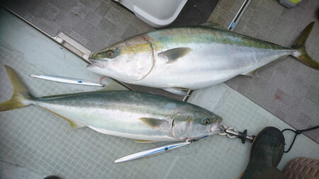 フィッシングマックスが開発する、完全現場視点のルアーブランド「AZZURRO」の、スロージギング対応 青物タチパターン『絶叫！ウォータースライダー系メタルジグ！』「ルンゴスライダー200g」2本セット