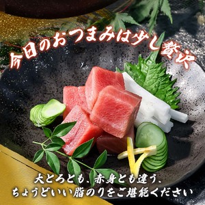 本マグロ 本鮪 中トロ200g トロ マグロ まぐろ 本まぐろ 刺身 刺し身 魚 海鮮 冷凍 美味しい おいしい 故郷納税 ふるさとのうぜい 返礼品 高知県 高知【株式会社大熊】 [BQAA036]