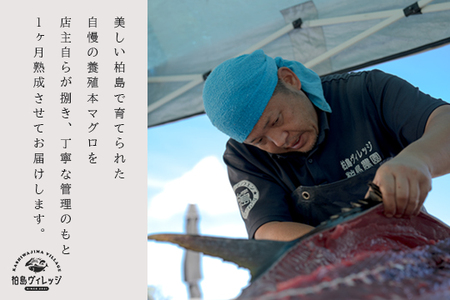 熟成 生 本マグロ 大トロ 200g 冷蔵 刺身用 国産 高知県産 高級 海鮮 熟成本まぐろ グルメ