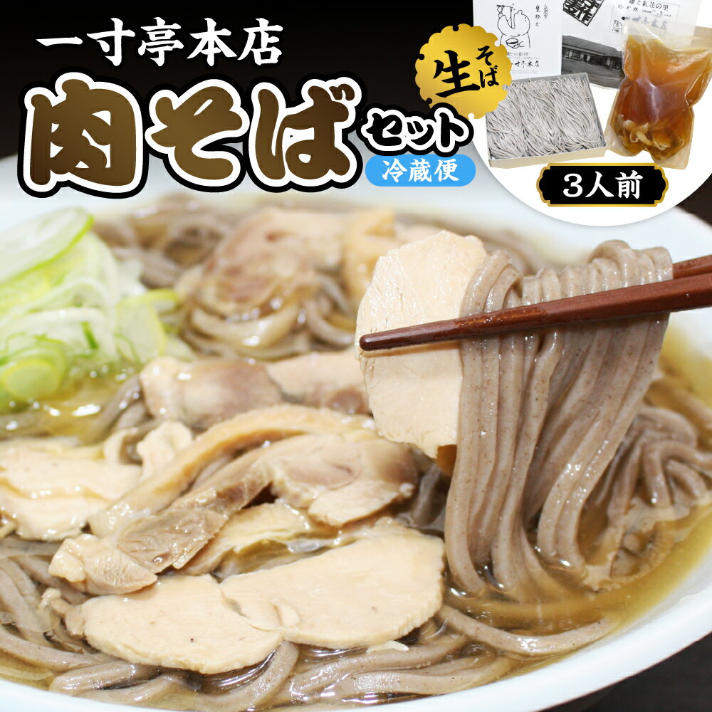 【ふるさと納税】【一寸亭本店】 冷たい肉そば 3人前 ( 190g×3束 ) 蕎麦 そば 生そば 有名店 肉そば 自宅 贈答 冷たい ご当地 一寸亭 谷地 山形県 河北町