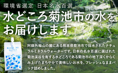 THE KIKUCHI WATER 500ml×30本 定期便 3回 水 飲料水 ミネラルウォーター シリカ 飲料《お申し込み月の翌月から出荷開始》天然水 飲料水 ミネラルウォーター シリカ含有 アル