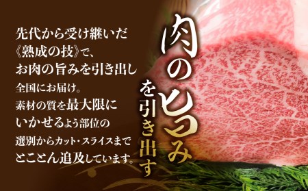 飛騨市推奨特産品 古里精肉店謹製 飛騨牛 5等級 すね肉カット500g[Q1950]