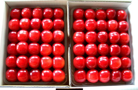 【2024年6月発送分先行受付】「秀品」さくらんぼ佐藤錦1kg（2L玉以上・化粧箱・贈答用手詰）_H038(R6)