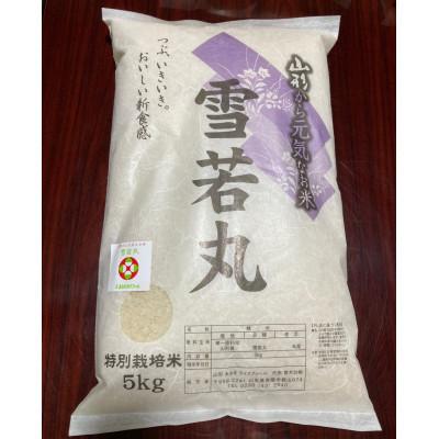 ふるさと納税 南陽市 【令和7年産】山形県産　特別栽培米　雪若丸5kg(精米)(10月上旬以降)【S1547】