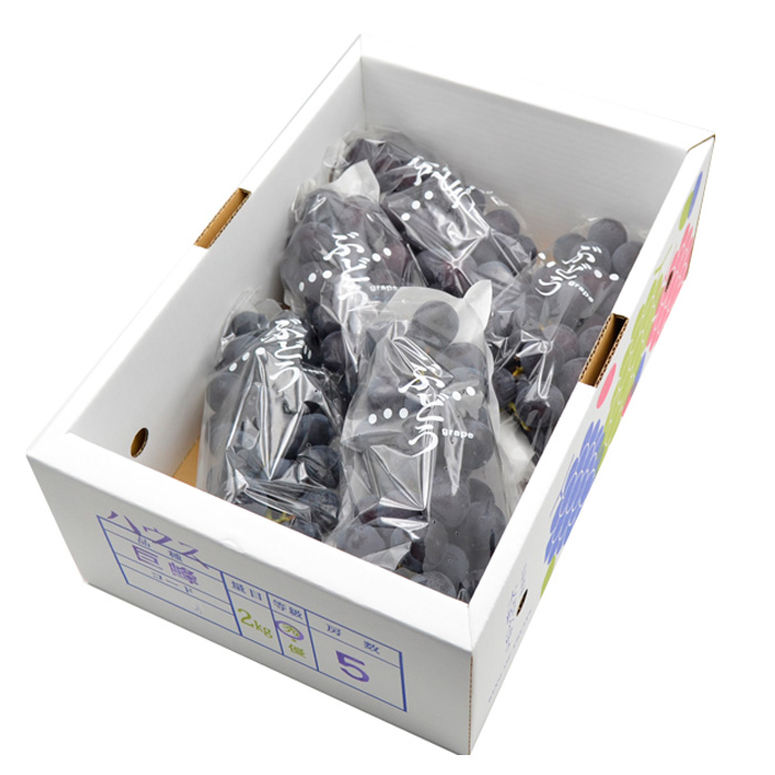 山形のぶどう 巨峰 秀品 約2kg(3～6房)[9月中旬～10月中旬お届け]【令和8年産先行予約】FS24-652