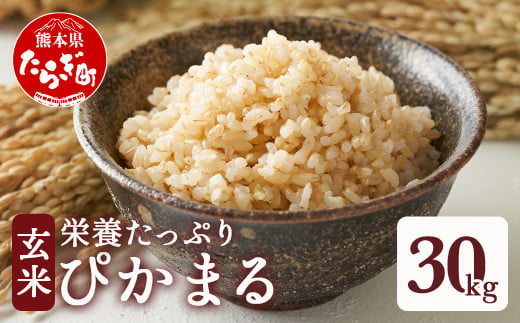 【令和6年産 玄米 】 多良木町産 『ぴかまる』 30kg【 玄米 熊本県 たらぎ お米 米 艶 粘り 甘み うま味 やわらか 熊本のお米 30キロ 栄養価 げんまい 】 044-0599