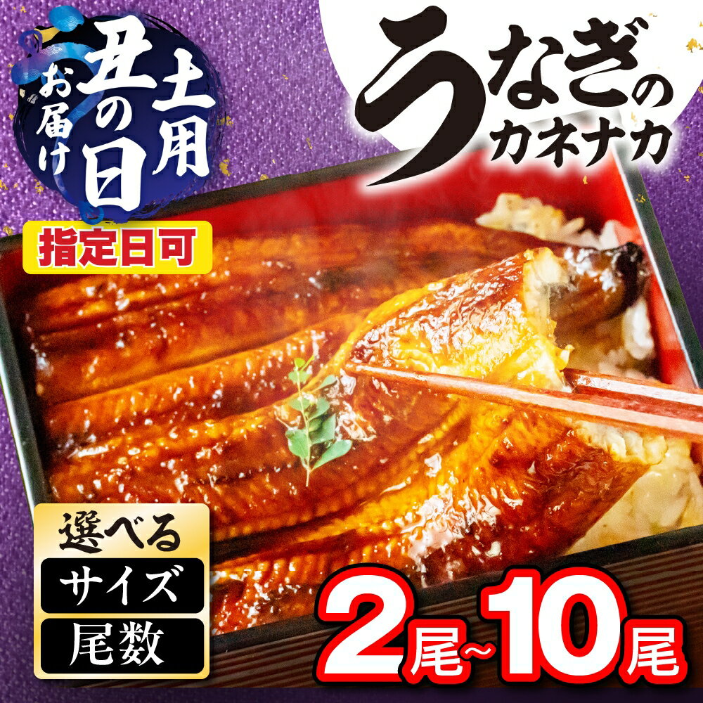 【ふるさと納税】選べる 国産うなぎ蒲焼 2尾~10尾 タレ・山椒付 鰻 うなぎ unagi 国産 ウナギ 蒲焼 土用の丑の日 土用 丑の日 贈答 うな重 うな丼 ひつまぶし 冷凍 お祝い 2尾 3尾 4尾 6尾 8尾 10尾 特上 指定日 指定日可 1万円 10000円 愛知県 豊橋市