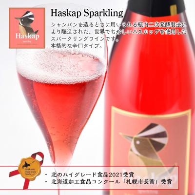 ふるさと納税 千歳市 千歳ワイナリー ハスカップスイート720ml×1本&スパークリング750ml×1本＜ギフト箱入＞ |  | 01