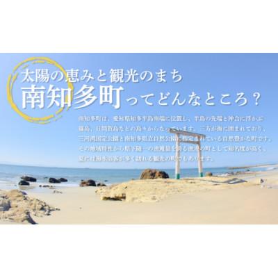 ふるさと納税 南知多町 【2ヵ月毎定期便】タコ三昧 (120g×7袋入)全3回 |  | 01