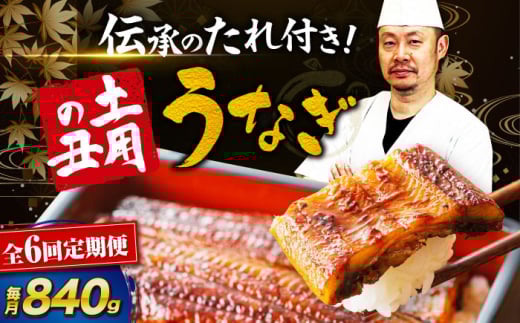 鰻【全6回定期便】うなぎ 蒲焼き 冷蔵 真空パック 6尾セット（2尾×3箱） ウナギ 絶品 国産 うな丼 鰻丼 うな重 鰻重 かば焼き 蒲焼 高級 丑の日 土用の丑の日 おすすめ 人気 お取り寄せ 送料無料 贈答 冷蔵 真空パック ギフト グルメ 惣菜 簡単調理 時短 湯煎 栄養満点 健康 贅沢 ご褒美 逸品 極上 ふっくら ふわふわ 食感  愛媛県大洲市/有限会社 樽井旅館[AGAH022]