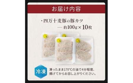 四万十麦豚 豚カツ （約100g×10枚）麦豚 トンカツ 冷凍 背ロース Ahc-A18