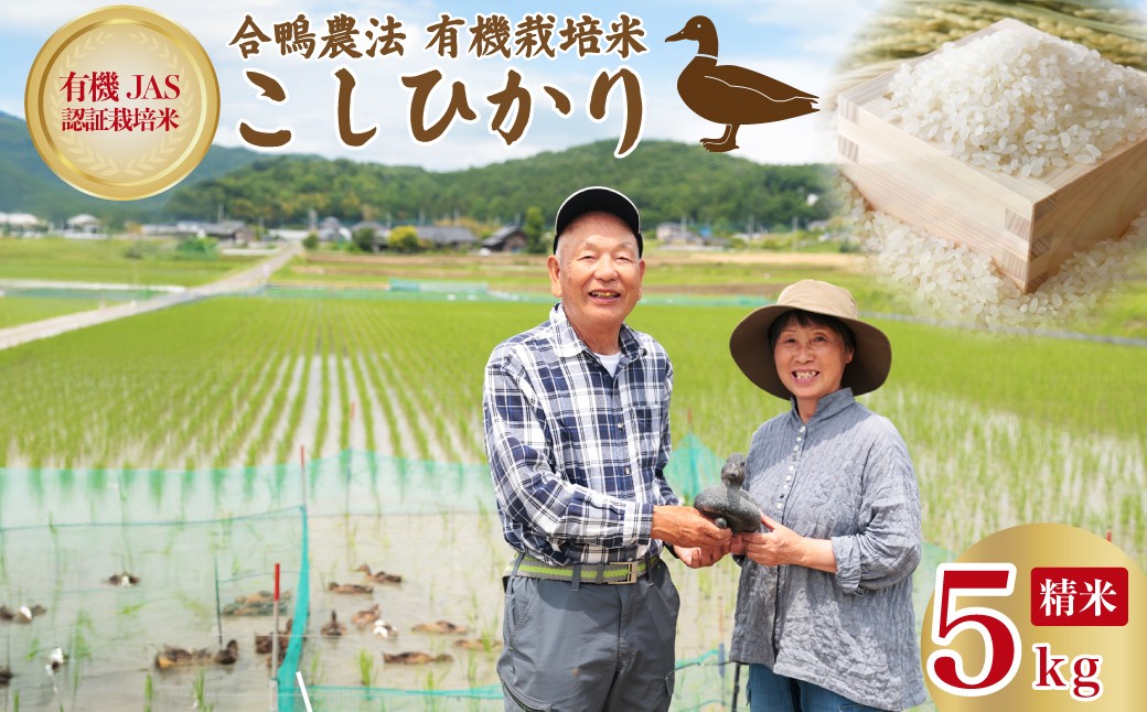 
                  米 新米 こしひかり 白米 5kg R8年産 オーガニック あいがも 有機米 農薬  化学肥料不使用 合鴨常陸青龍米 | 米 お米 コシヒカリ 有機JAS認証 有機栽培米 有機栽培 白米 森 ミネラル 水 安全 安心 美味しい 米合鴨農法 自然環境 負荷かけない リサイクル 農業 人気 茨城県 常陸太田市
                