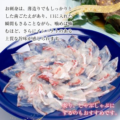 ふるさと納税 小浜市 マハタの刺身と煮付けのセット |  | 01