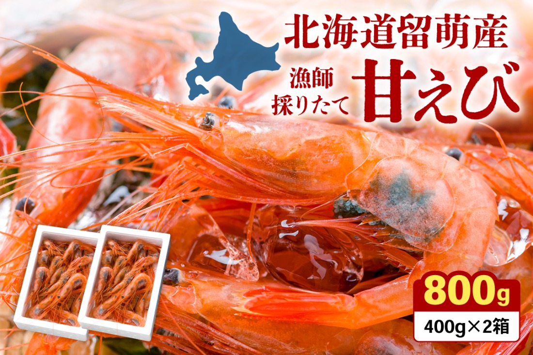 えび エビ 北海道 漁師採りたて甘えび 400g×2箱 留萌産　あまえび 甘海老 海老 南蛮エビ