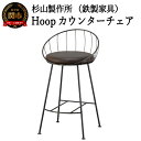 【ふるさと納税】Hoopカウンターチェア SH570mm （鉄製家具/椅子）D147-01 バーチェア ハイチェア 椅子 イス いす カフェ風 おしゃれ スツール 背もたれ アイアン 鉄家具 黒 ブラック