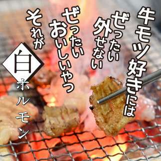 TKA005　白ホルモン 天下味オリジナル本格塩ダレ漬け（150g×６パック） 高知市共通返礼品 人気 牛肉 お肉 小腸 焼き肉 タレ 焼肉 BBQ バーベキュー 冷凍 小分け おつまみ どんぶり お